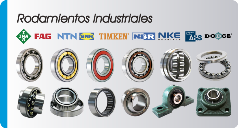 Rulemanes Industriales